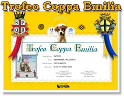 Trofeo coppa Emilia 2009