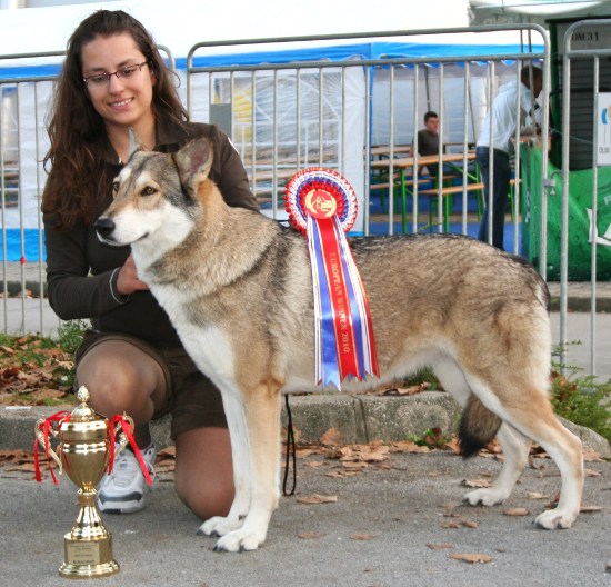 Giulia Dolce de Louba-Tar European Winner