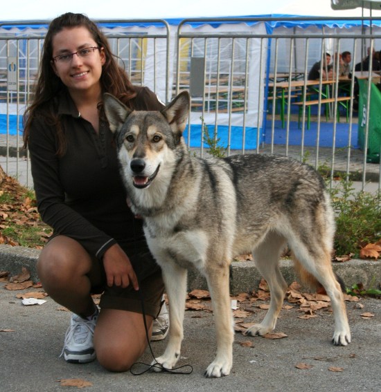 Prima Lupa di Fossombrone Vice European Winner