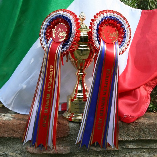 coppa e coccarde del campionato europeo