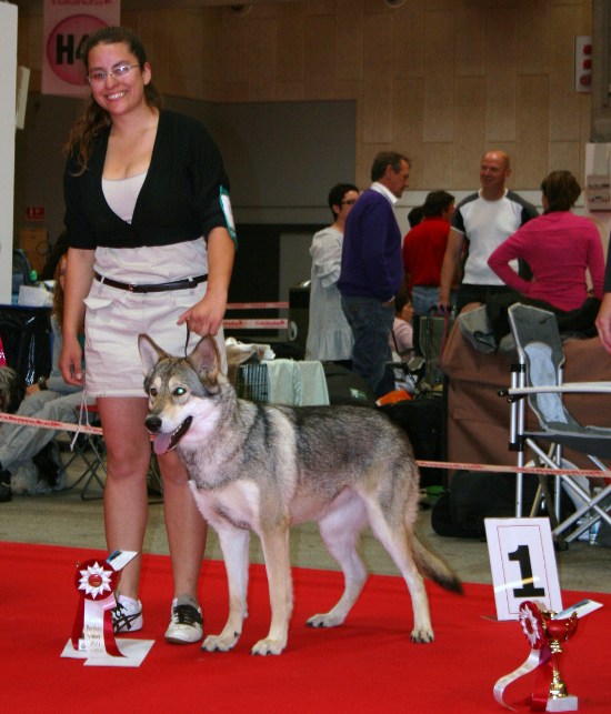 Ch. Prima Lupa di Fossombrone World Junior Winner