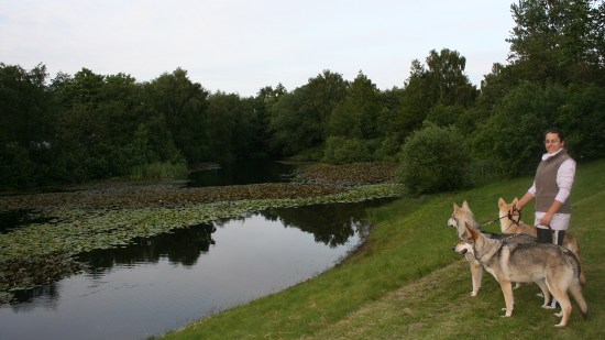 gruppo Fossombrone a Herning