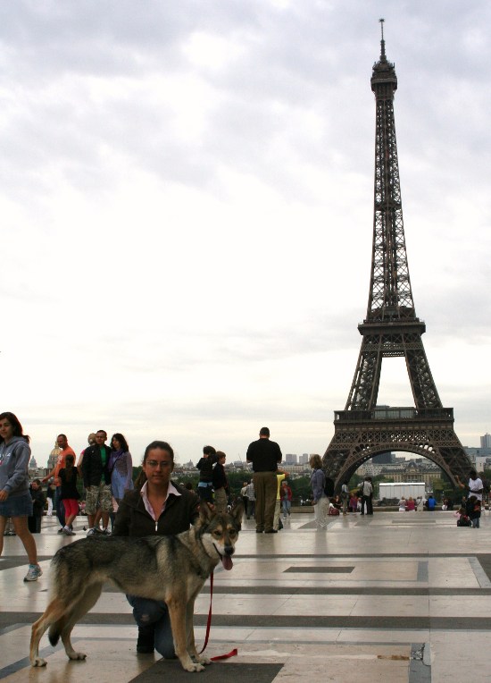 Ch. Prima Lupa di Fossombrone con Sara R.Dioguardi sotto la Torre Eiffel