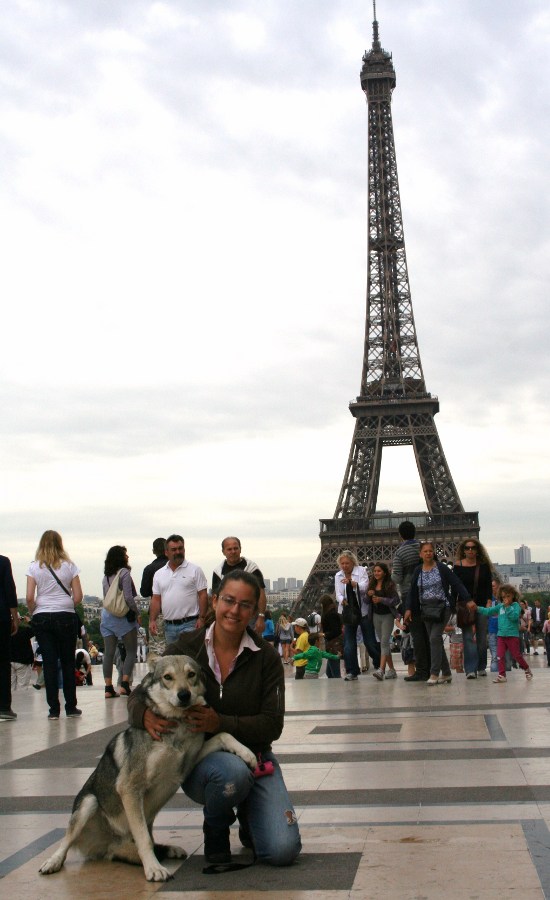 Ch. Sun Gifu Dante con Sara R.Dioguardi sotto la Torre Eiffel