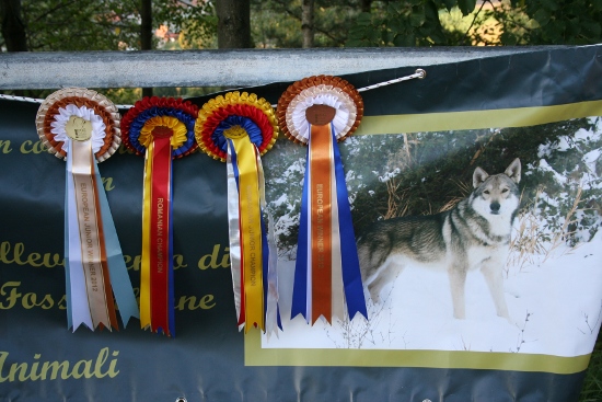 striscione fossombrone