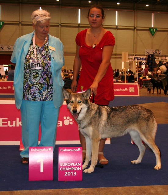 migliore di razza European dog show