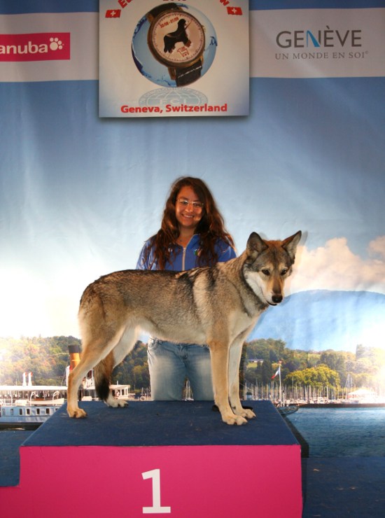 Euro Dog Show Ginevra 2013