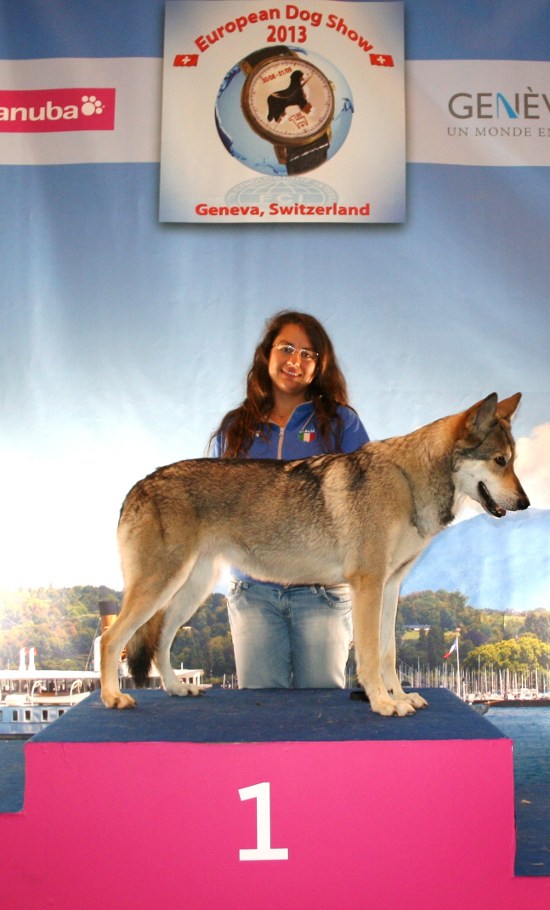 European dog show 2013