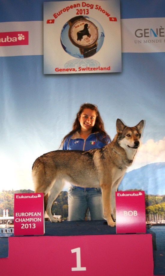 euro dog show 2013