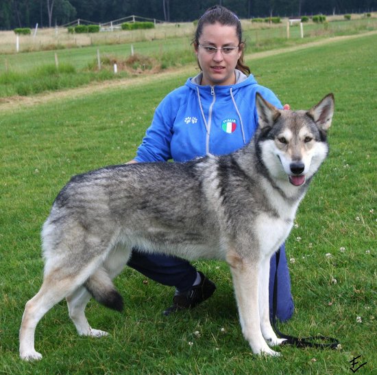 Ellen Kessler di fossombrone