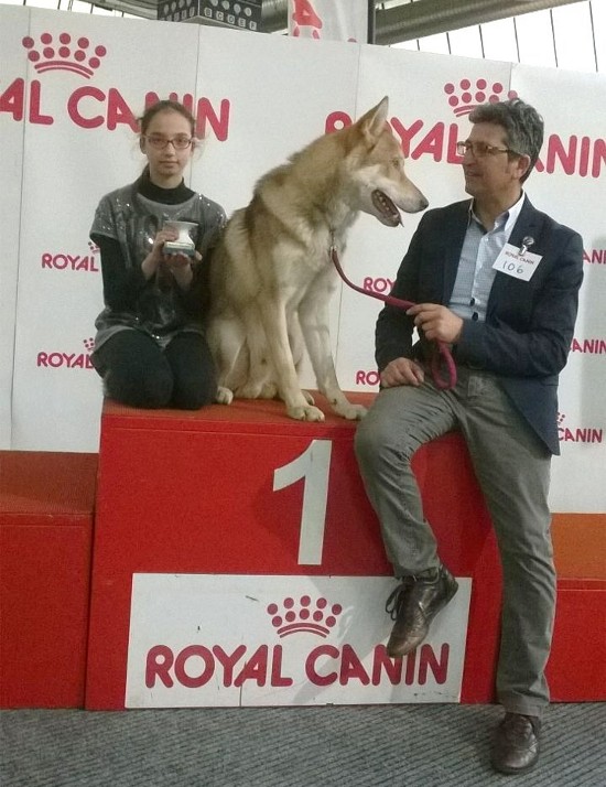 cacib ancona 2015