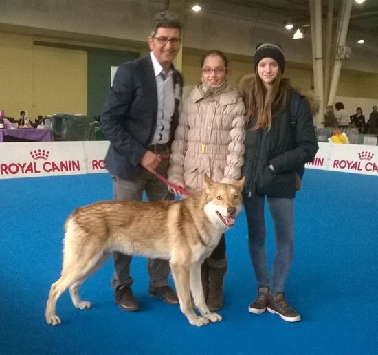 cacib ancona 2015