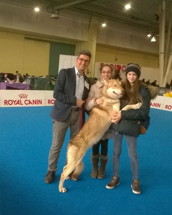 cacib ancona 2015