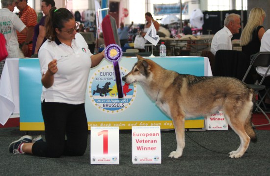 European Dog Show 2016