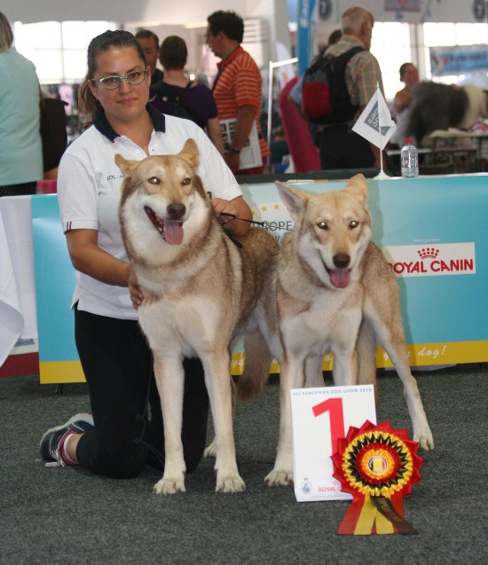 European Dog Show 2016