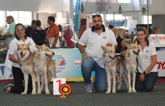 European Dog Show 2016