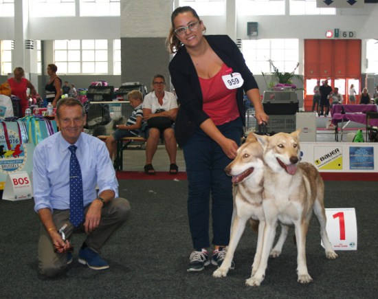 European Dog Show 2016