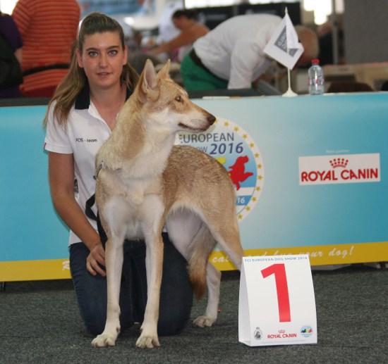 European Dog Show 2016