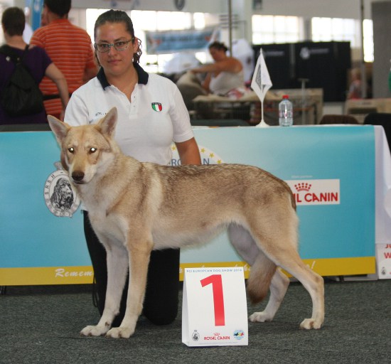 European Dog Show 2016