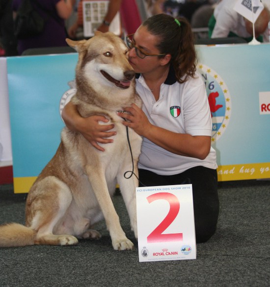 European Dog Show 2016