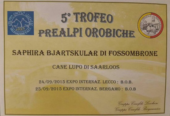 Trofeo Prealpi Orobiche