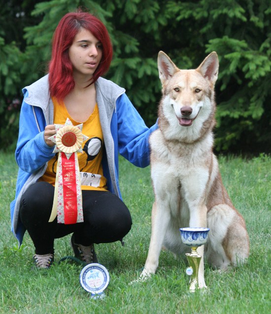 WORLD DOG SHOW MOSCA 2016