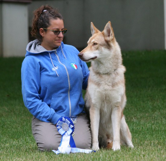 WORLD DOG SHOW MOSCA 2016