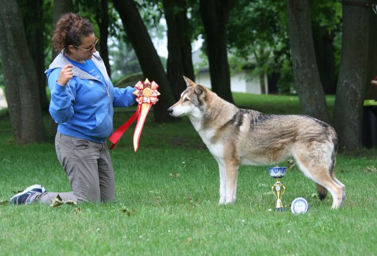 WORLD DOG SHOW MOSCA 2016