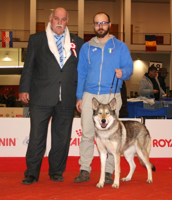 CACIB Padova 2016