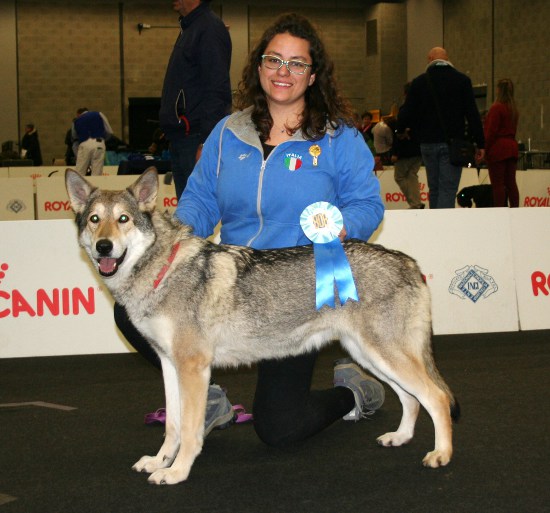 CACIB Pistoia 2016