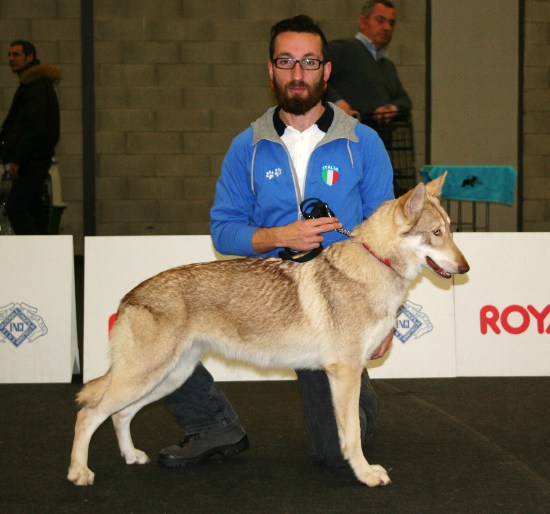 CACIB Pistoia 2016