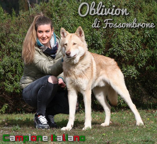 Oblivion di Fossombrone