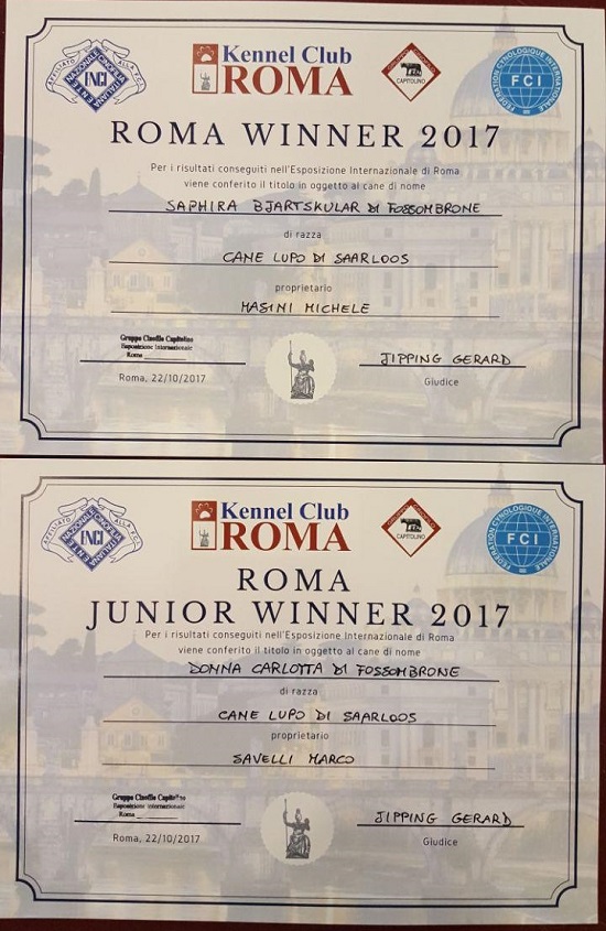 Roma Winner 2017