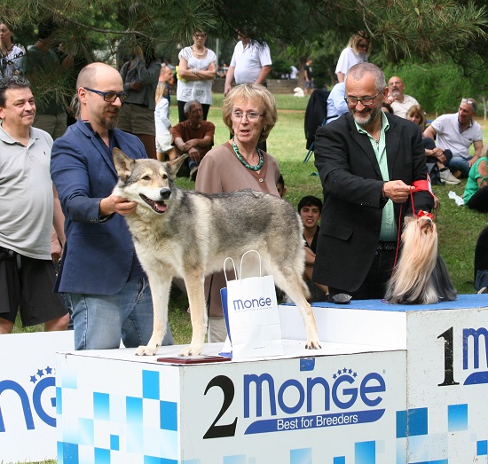 best in show Prato