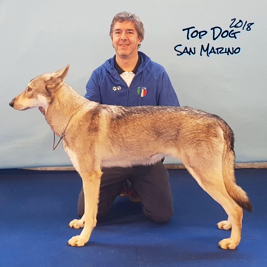 Top Dog San Marino