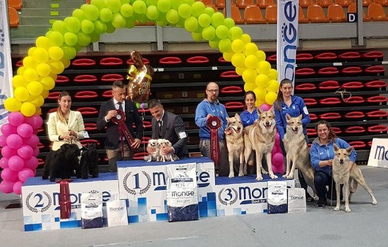 breeder group Livorno