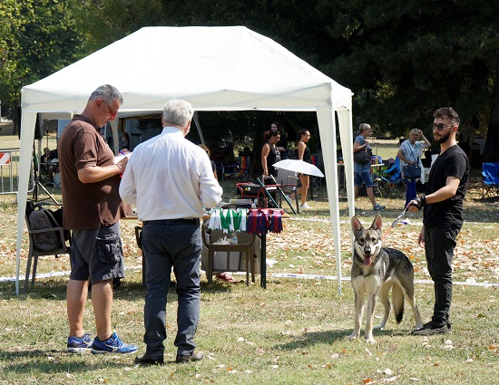 expo Prato