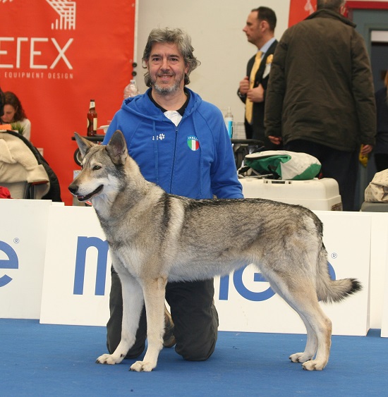 CACIB Piacenza 2019