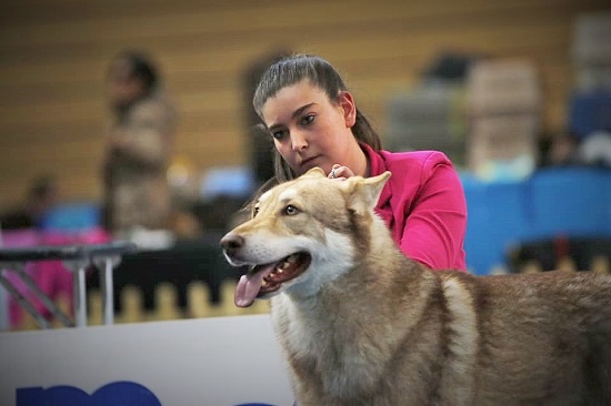 Rijeka 2019