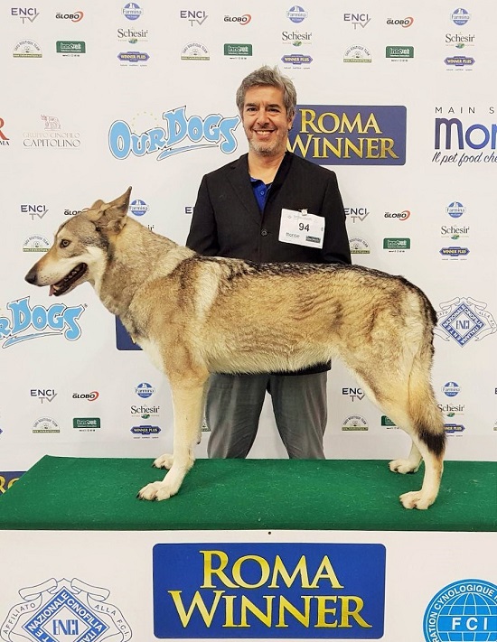 Roma Winner 2019