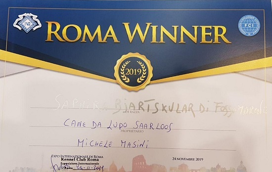 Roma Winner 2019