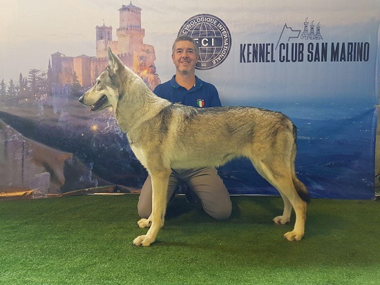 Dog Show San Marino