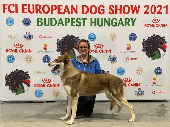 BEST OF BREED EDS Budapest 2021