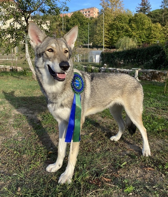 GIOVANE CAMPIONESSA ITALIANA 2022