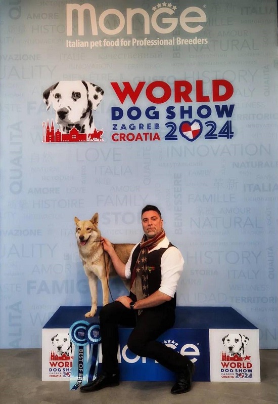 BOB WORLD DOG SHOW 2024