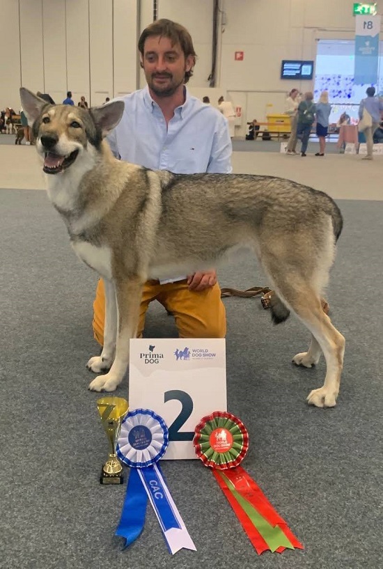 Finnish Champion