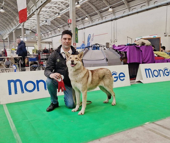 Casale Monferrato 2026
