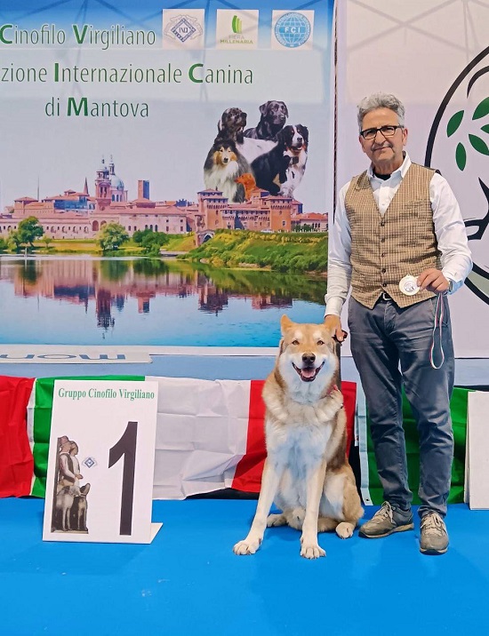Virgilio Winner 2026