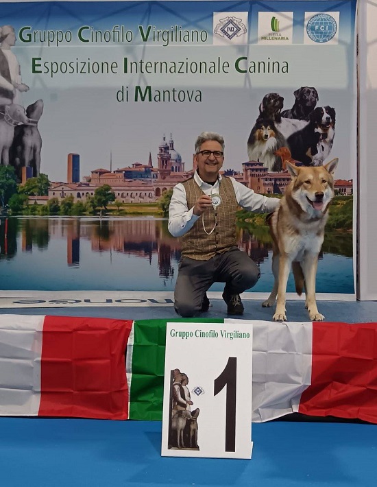 CACIB Gonzaga 2026