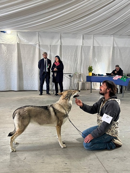 Judge Federico Vinattieri 2026